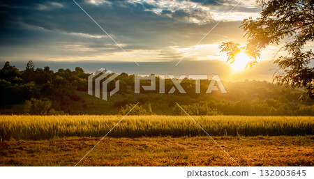 Scenic landscape of golden wheat field at sunset with dramatic cloudy sky 132003645