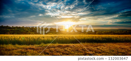 Scenic landscape of golden wheat field at sunset with dramatic cloudy sky Scenic landscape of golden wheat field at sunset with dramatic cloudy sky 132003647