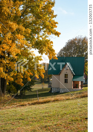 Charming house nestled under a vibrant orange tree in autumn, surrounded by fallen leaves. Scenic fall landscape with warm seasonal colors, perfect for nature photography, seasonal design, and autumn 132003735
