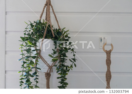 Macrame plant hanger with greenery on white wall Macrame plant hanger with greenery on white wall 132003794