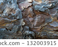 Close-up of weathered tree bark with textured layers in nature 132003915