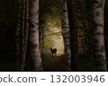 Beautiful deer shining in the forest 132003946