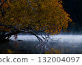 Autumn leaves of Onneto 132004097