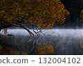 Autumn leaves of Onneto 132004102