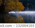 Autumn leaves of Onneto 132004103