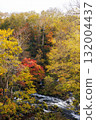 Autumn leaves of Takimi Bridge 132004437