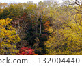 Autumn leaves of Takimi Bridge 132004440