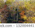 Autumn leaves of Takimi Bridge 132004441