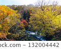 Autumn leaves of Takimi Bridge 132004442