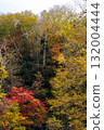 Autumn leaves of Takimi Bridge 132004444