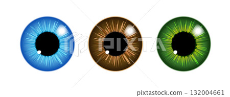 Eye logo iris pupil icon. Flat health hospital ophthalmologist eye logo Eye logo iris pupil icon. Flat health hospital ophthalmologist eye logo 132004661