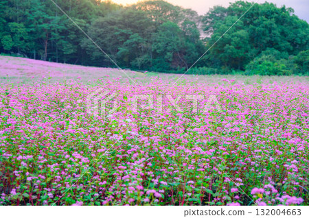 阿卡索巴村的早晨(上伊那郡三輪町) 阿卡索巴村的早晨(上伊那郡三輪町) 132004663