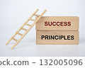 Wooden blocks and ladder showing SUCCESS PRINCIPLES text for motivation and learning. 132005096