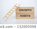 Wooden blocks and ladder showing GROWTH HABITS concept for self improvement and success. 132005098
