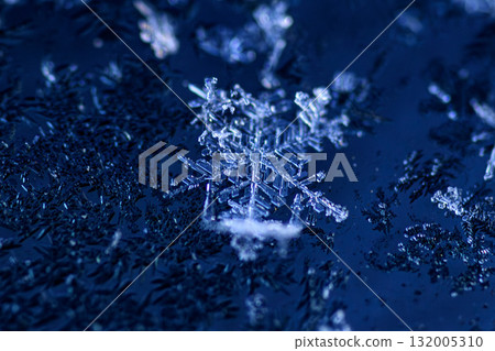 Falling snowflakes Falling snowflakes 132005310