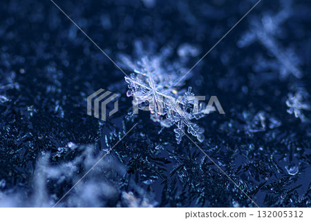 Falling snowflakes Falling snowflakes 132005312