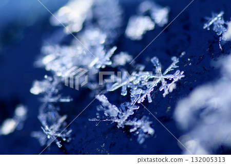 Falling snowflakes Falling snowflakes 132005313