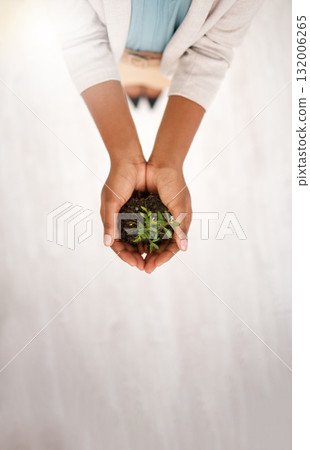 Plant, soil and and investment with hands of person in office with mockup for environment, growth and climate change. Earth day, sustainability and opportunity with employee for leaf, hope or support Plant, soil and and investment with hands of person in office with mockup for environment, growth and climate change. Earth day, sustainability and opportunity with employee for leaf, hope or support 132006265