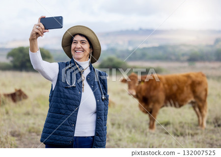 Cow selfie, vet and countryside cows with a animal healthcare worker on a field. Happiness, mobile and social media streaming of a mature farmer on the grass with cattle for milk production outdoor 132007525