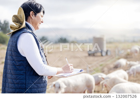 Farmer, pig or senior woman with checklist for animal wellness inspection on clipboard. Agriculture, healthcare or mature person working in countryside farming bacon meat livestock in pork production Farmer, pig or senior woman with checklist for animal wellness inspection on clipboard. Agriculture, healthcare or mature person working in countryside farming bacon meat livestock in pork production 132007526
