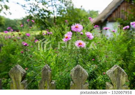 wooden hut in the garden 132007958