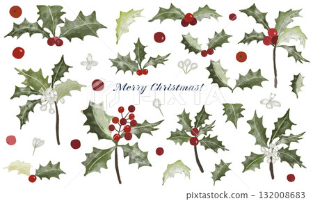 Watercolor Christmas holly illustration set 132008683
