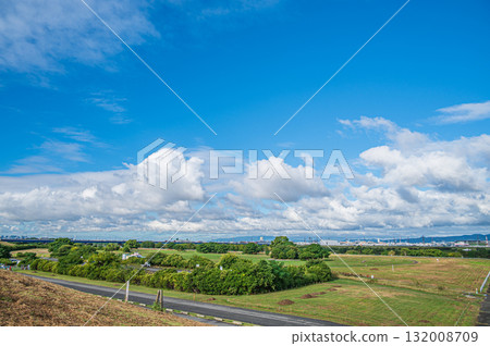Autumn at Taima Park, Neyagawa City, Osaka Prefecture 132008709