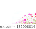 Cosmos white background part 2 132008814