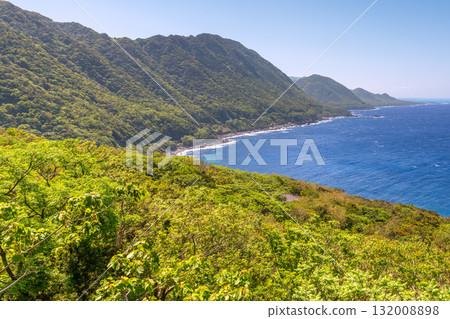 世界自然遺產屋久島西林道地區新綠與海 132008898