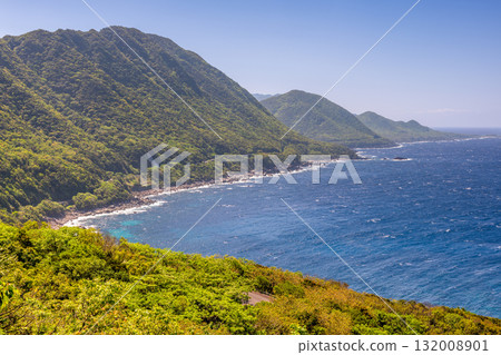 Fresh greenery and the sea in the Western forest road area of Yakushima, a World Natural Heritage site Fresh greenery and the sea in the Western forest road area of Yakushima, a World Natural Heritage site 132008901