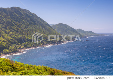 世界自然遺產屋久島西林道地區新綠與海 132008902