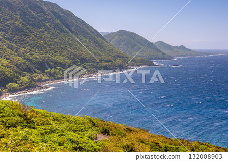 世界自然遺產屋久島西林道地區新綠與海 132008903