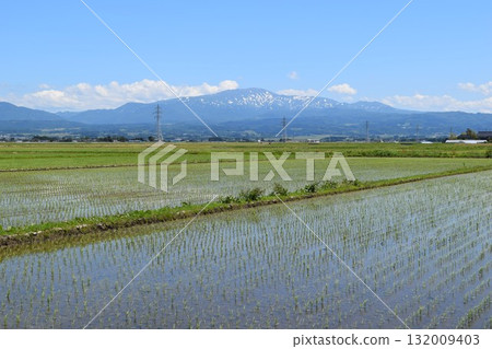Rural scenery Shonai, Yamagata Prefecture, one of Japan's leading rice fields 132009403