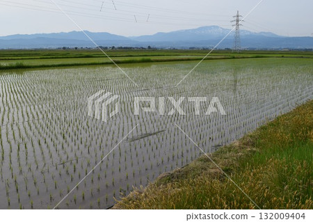 Rural scenery Shonai, Yamagata Prefecture, one of Japan's leading rice fields Rural scenery Shonai, Yamagata Prefecture, one of Japan's leading rice fields 132009404