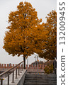 Golden leaves adorn a tall tree in a peaceful park near a historic castle wall, showcasing the beauty of autumn. 132009455