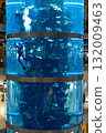 January 7, 2025, Moscow, Russia. A diver swims among vibrant fish in the giant aquarium at Aviapark mall, Moscow. A captivating marine display in the heart of the city. 132009463
