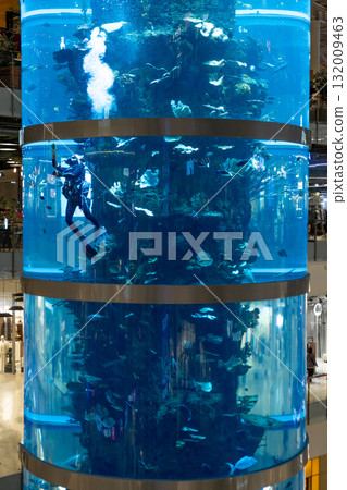 January 7, 2025, Moscow, Russia. A diver swims among vibrant fish in the giant aquarium at Aviapark mall, Moscow. A captivating marine display in the heart of the city. January 7, 2025, Moscow, Russia. A diver swims among vibrant fish in the giant aquarium at Aviapark mall, Moscow. A captivating marine display in the heart of the city. 132009463