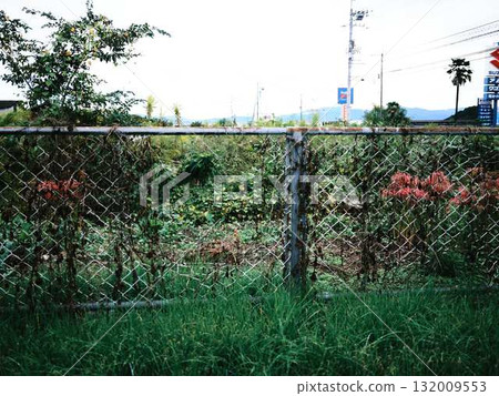 Fence broken by wild boar Fence broken by wild boar 132009553