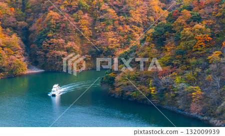 Shogawa Gorge (Autumn) Shogawa Gorge (Autumn) 132009939