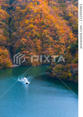 Shogawa Gorge (Autumn) Shogawa Gorge (Autumn) 132009963