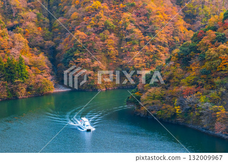 Shogawa Gorge (Autumn) Shogawa Gorge (Autumn) 132009967