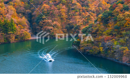 Shogawa Gorge (Autumn) Shogawa Gorge (Autumn) 132009968