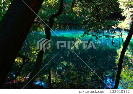 Mysterious emerald green pond 132010522