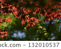 Silkamori no Mori Park 132010537