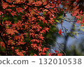 Silkamori no Mori Park 132010538