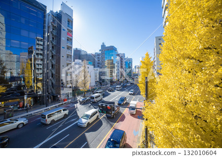 Komazawa Street lined with yellow ginkgo trees [Autumn image] 132010604