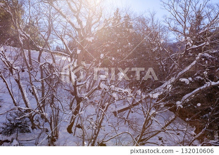Snowy morning sun 132010606
