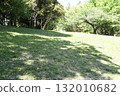 Silkamori no Mori Park 132010682