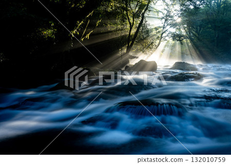 熊本縣菊池溪谷的光芒 132010759