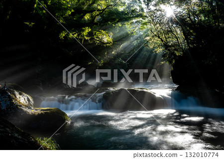 熊本縣菊池溪谷的光芒 132010774